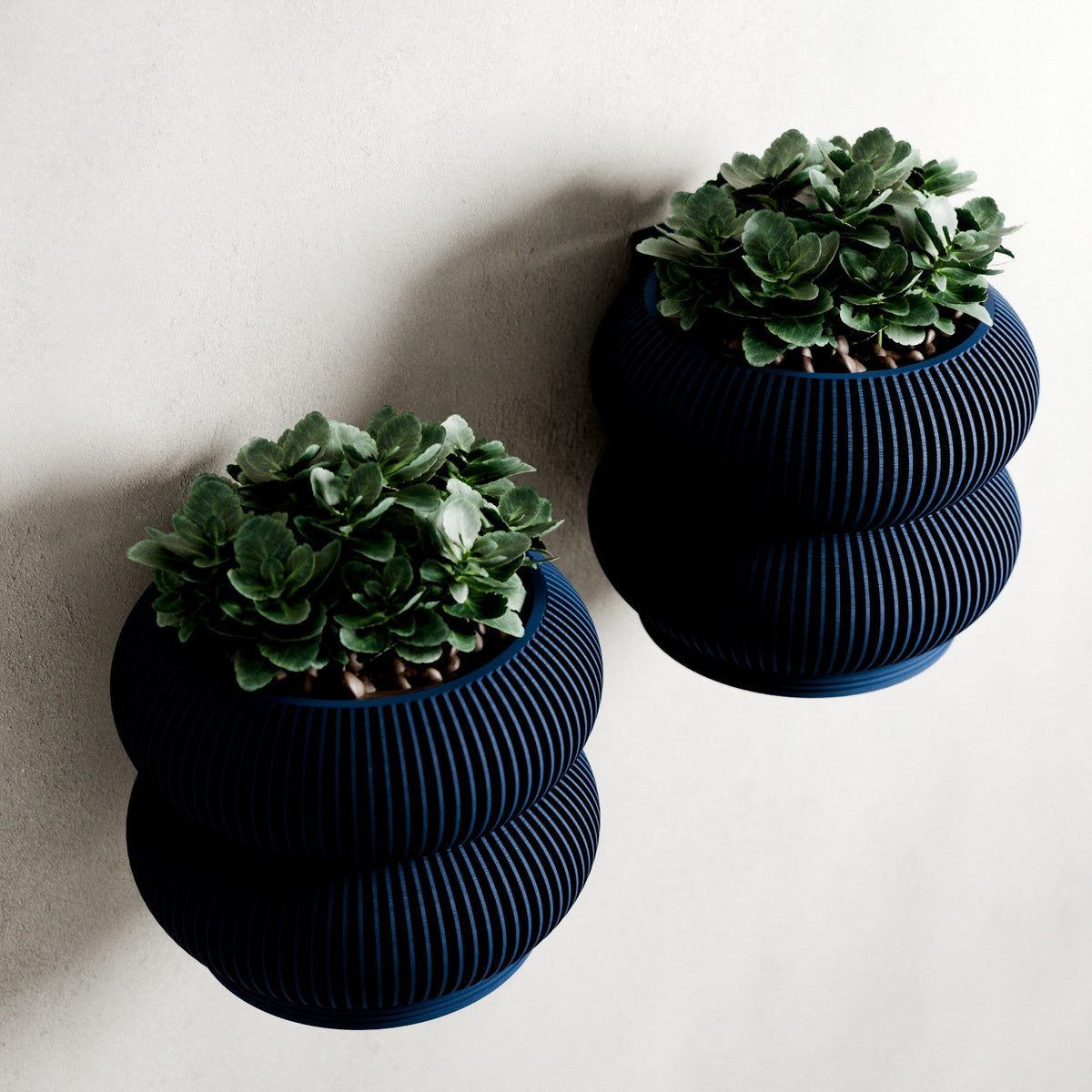 Wall Planter - Double BUBBLES-2