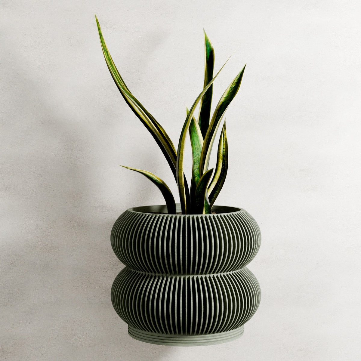 Wall Planter - Double BUBBLES-1