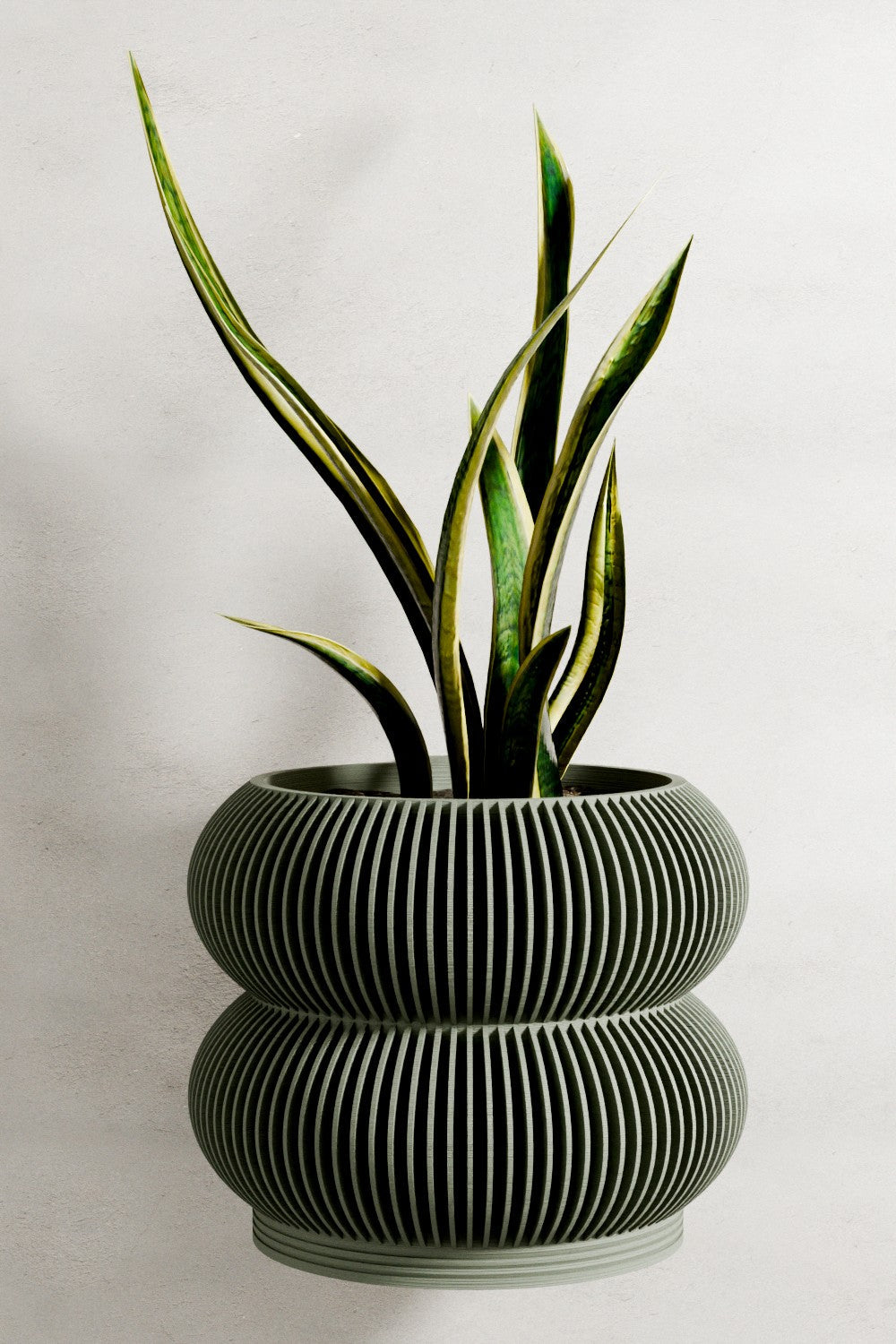 Wall Planter - Double BUBBLES-0