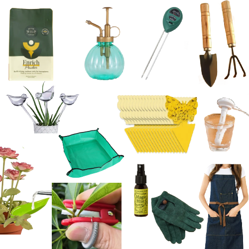 Collage of gardening tools and supplies including a plant, spray bottle, trowel, gloves, and apron.