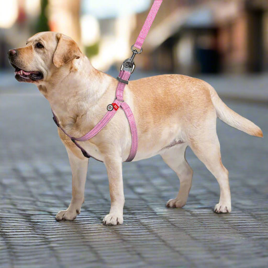 Recycled Cotton Dog Harness - Pink - Size M Adjustable