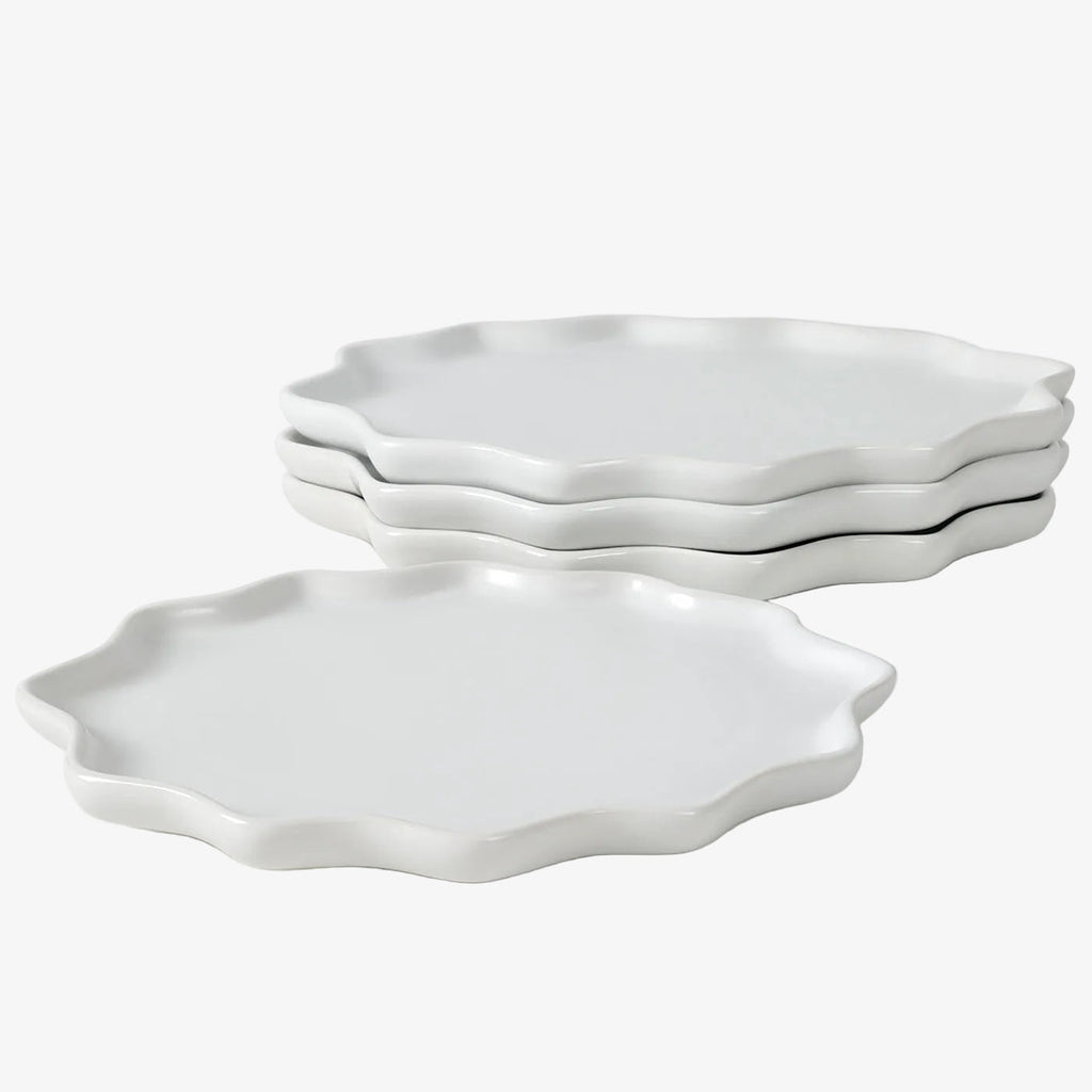 The Bring Nature Inside Dinner Plate Recycled Eco-Clay 4-Piece Set