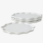 The Bring Nature Inside Dinner Plate Recycled Eco-Clay 4-Piece Set