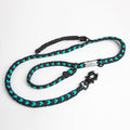 Black and teal dog leash on a white background