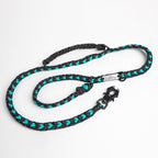 Black and teal dog leash on a white background
