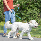 Person walking a white dog on a leash in a park