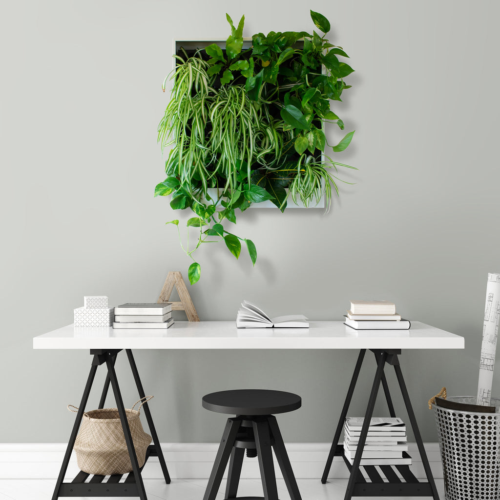 Vertical Plant Wall Planter – 25"