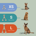 The SMALL WISHBONE BetterBone Plant-Based Chew Toy