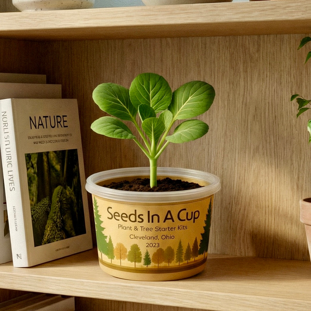 Seeds In A Cup® Banana Pepper Plant Starter Grow Kit