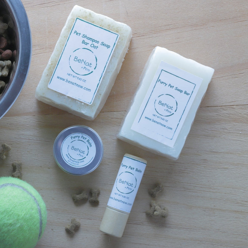 Pet care products including a bowl of kibble, leash, ball, and grooming items on a wooden surface.