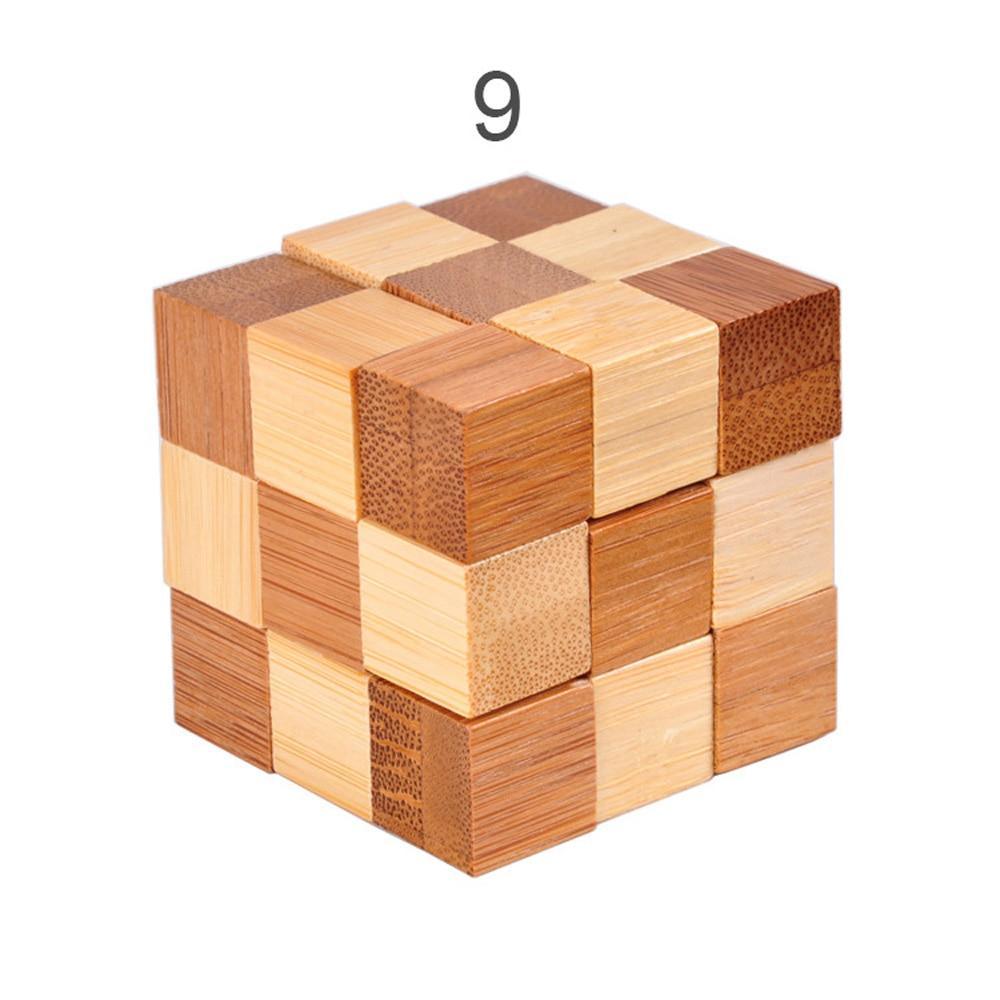 Brain Teaser 3D Wooden Interlocking Game Puzzles – 12 Styles