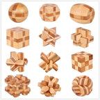 Brain Teaser 3D Wooden Interlocking Game Puzzles – 12 Styles