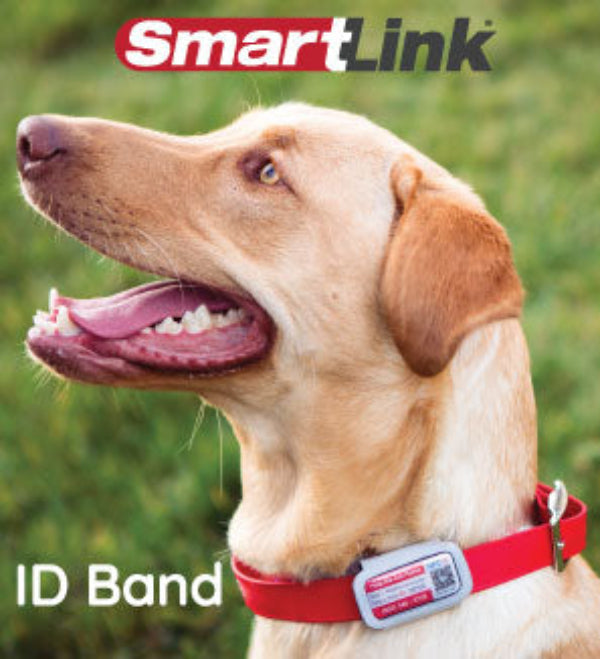The SmartLink ID Band – Reunite Pets + Owners