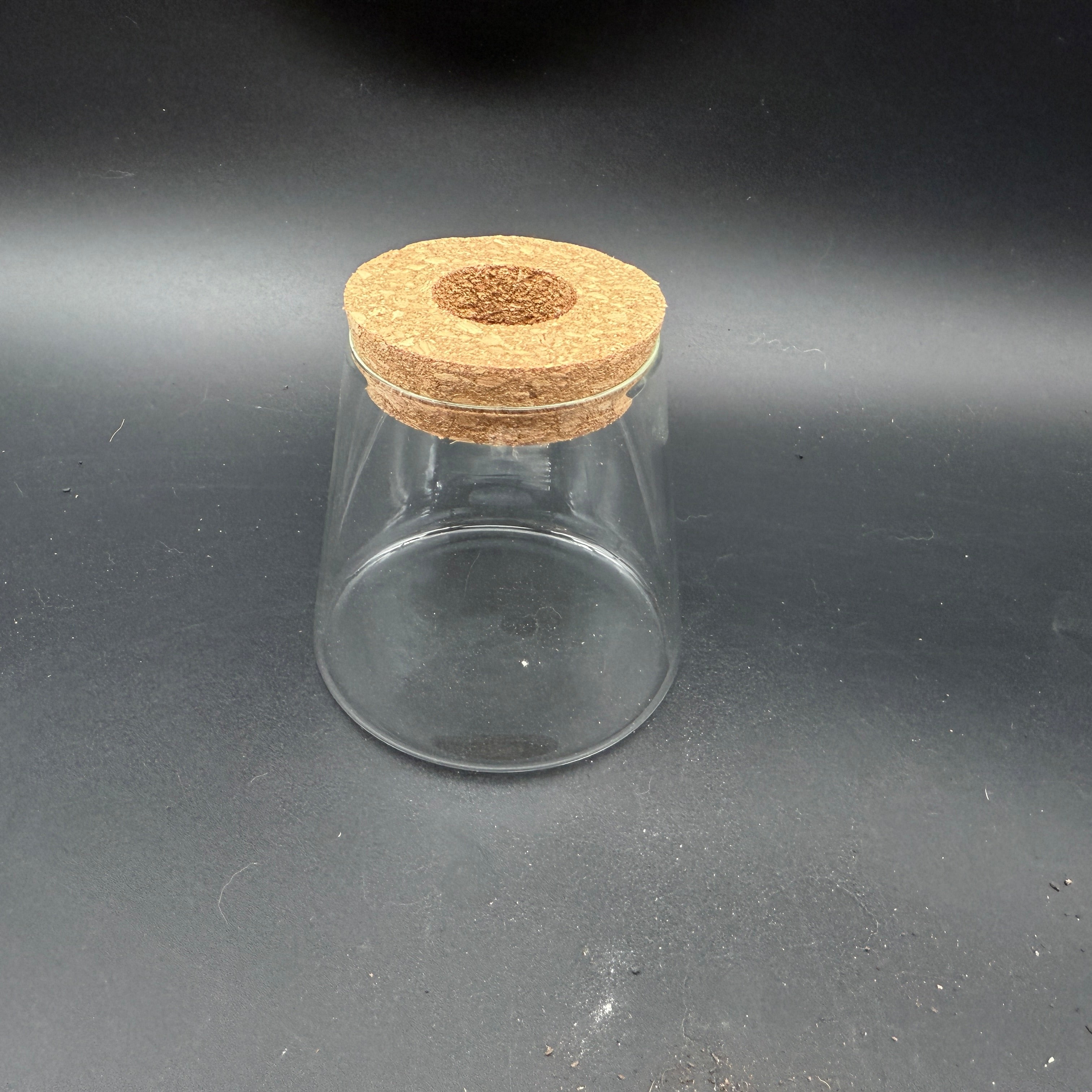 Glass Cultivation Planter with Cork Top