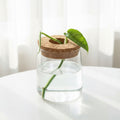 Glass Cultivation Planter with Cork Top