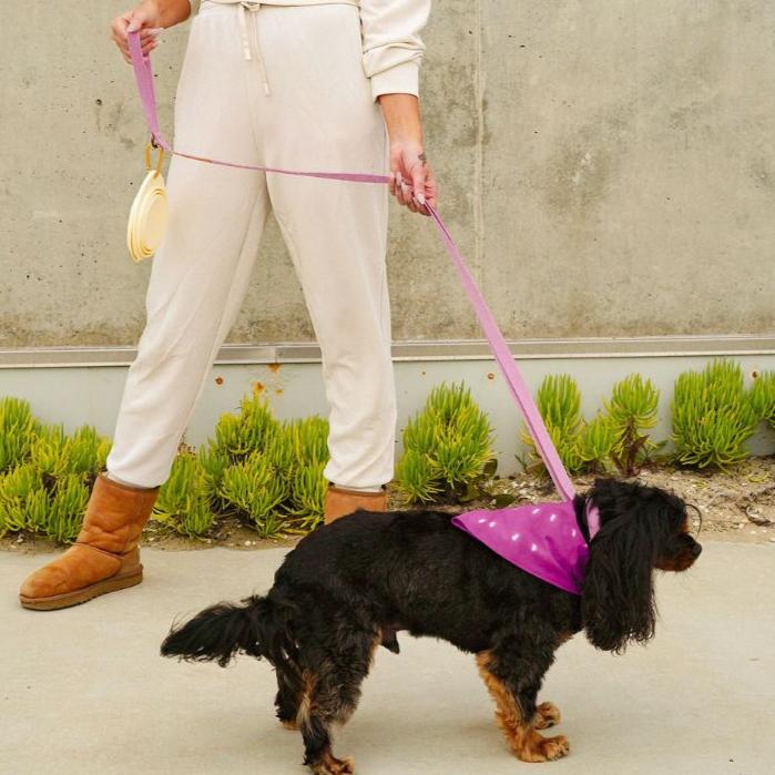 Hemp Cotton Dog Leash - Durable, Sustainable, Adjustable, Lightweight & Soft