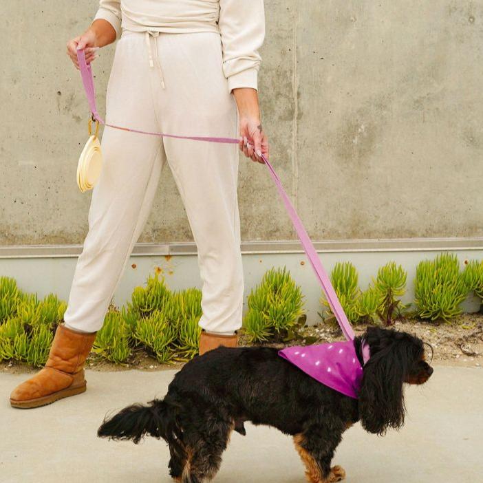 Hemp Cotton Dog Collar - Durable, Sustainable, Adjustable, Lightweight & Soft