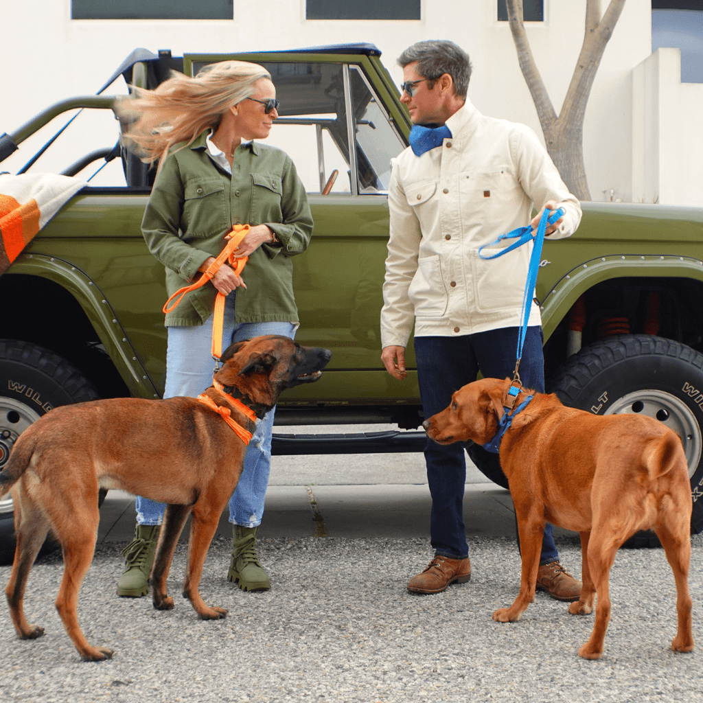 Hemp Cotton Dog Leash - Durable, Sustainable, Adjustable, Lightweight & Soft