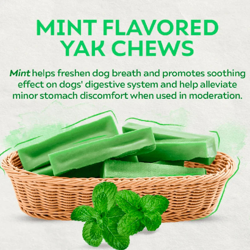 4-Stick Yak Chew Pack – Mint, Banana, Strawberry & Pumpkin
