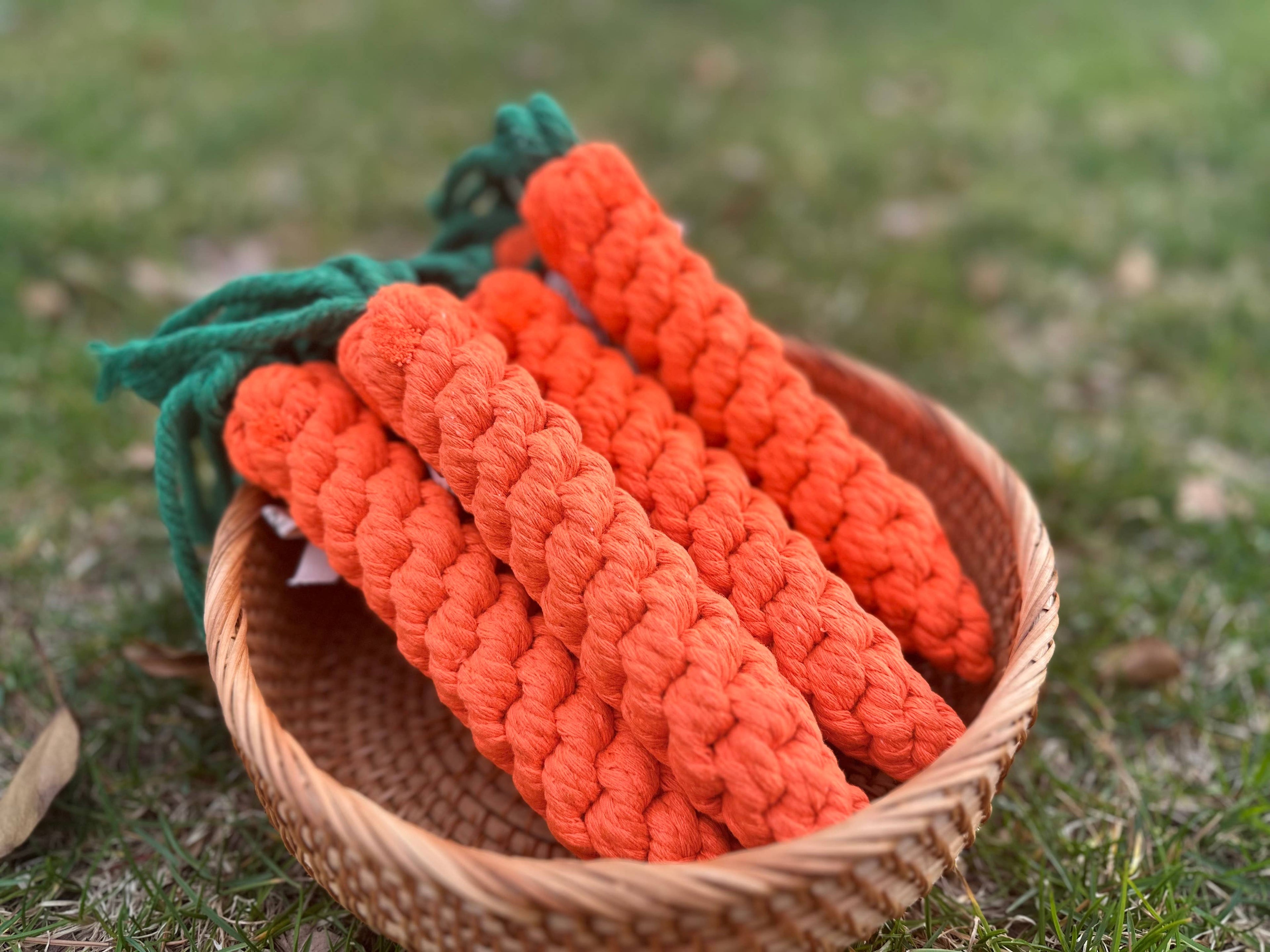 Three orange rope carrots in a wicker basket on grass