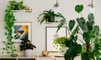 GrowScripts Complete House + Patio Plant Care Kit