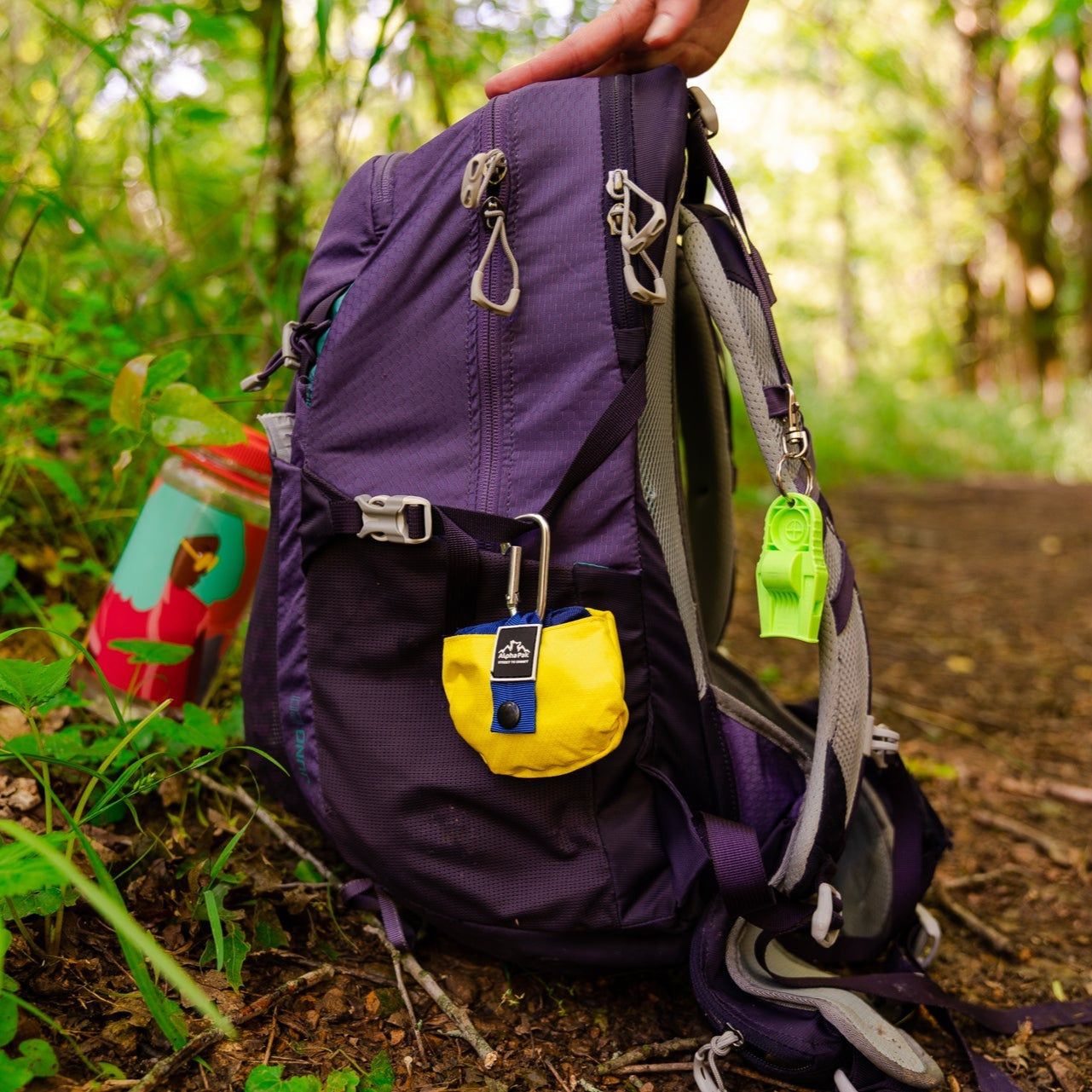 Purple backpack with colorful tags on a forest floor