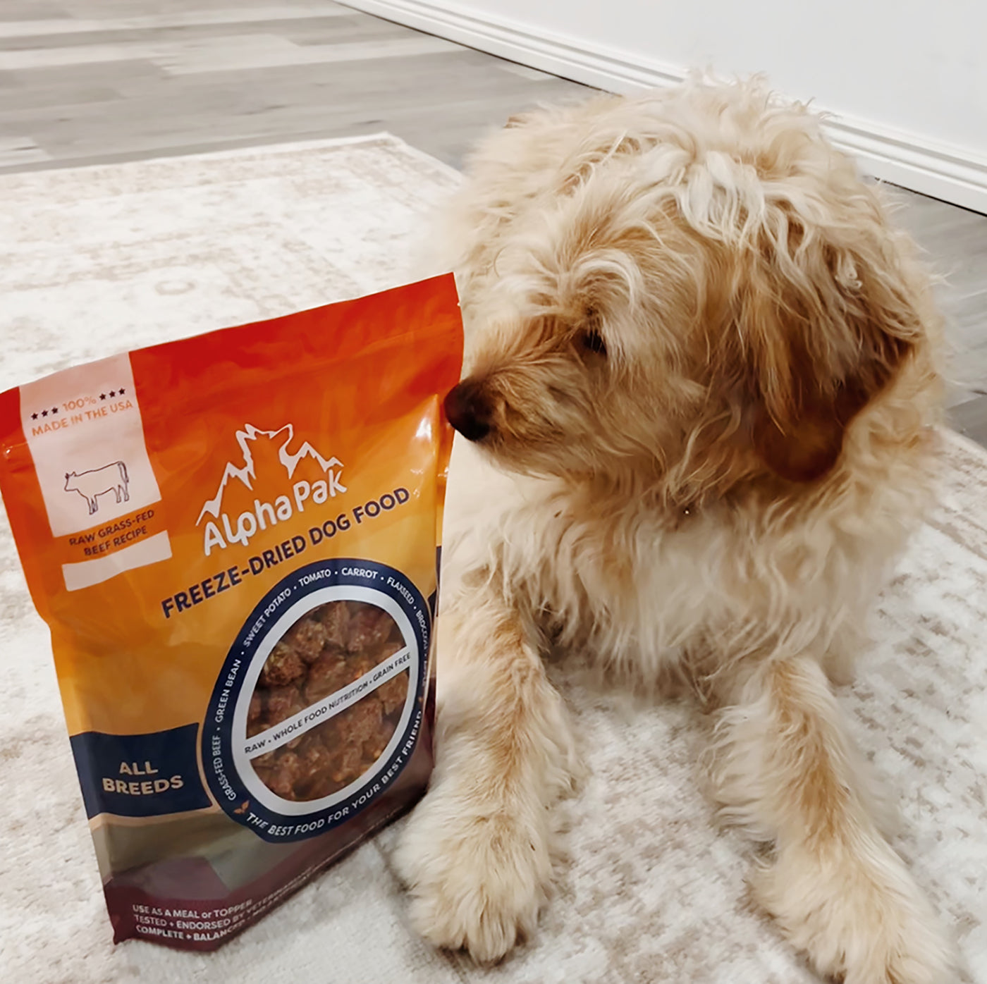 Premium Raw Freeze Dried Dog Food – Beef