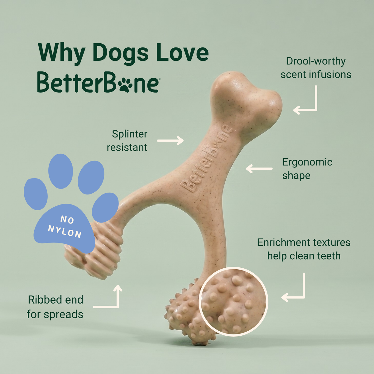 The SMALL WISHBONE BetterBone Plant-Based Chew Toy