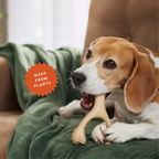 The SMALL WISHBONE BetterBone Plant-Based Chew Toy