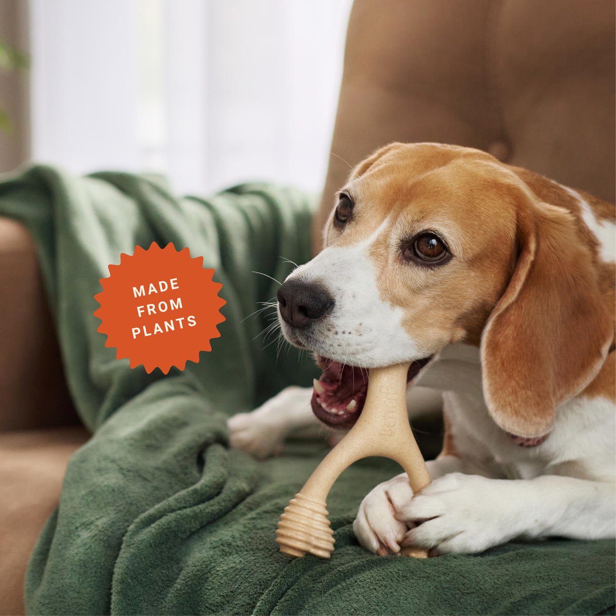 The SMALL WISHBONE BetterBone Plant-Based Chew Toy