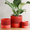SAKURA Planter | RED-0