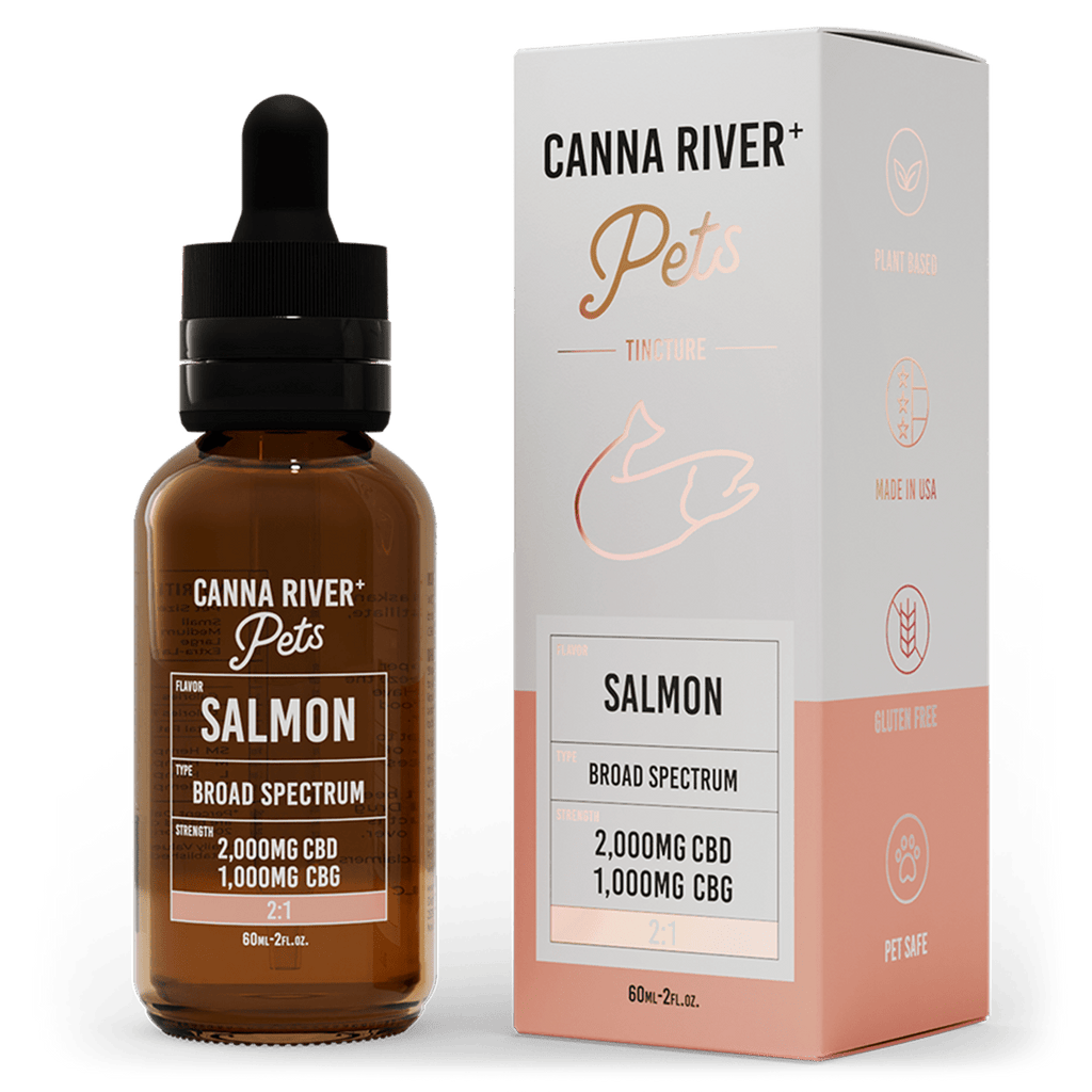 CBD Pet Tincture