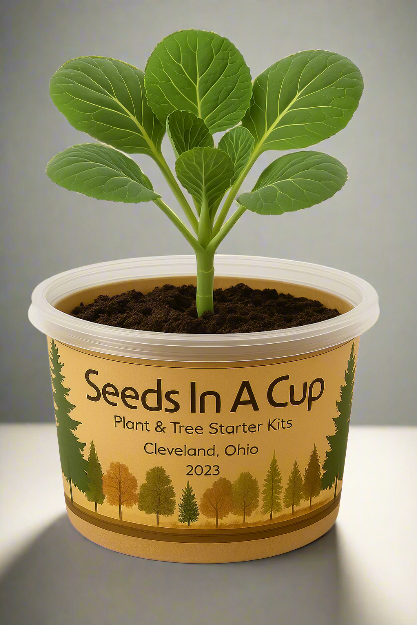 Potted plant with 'Seeds In A Cup' label on a white background
