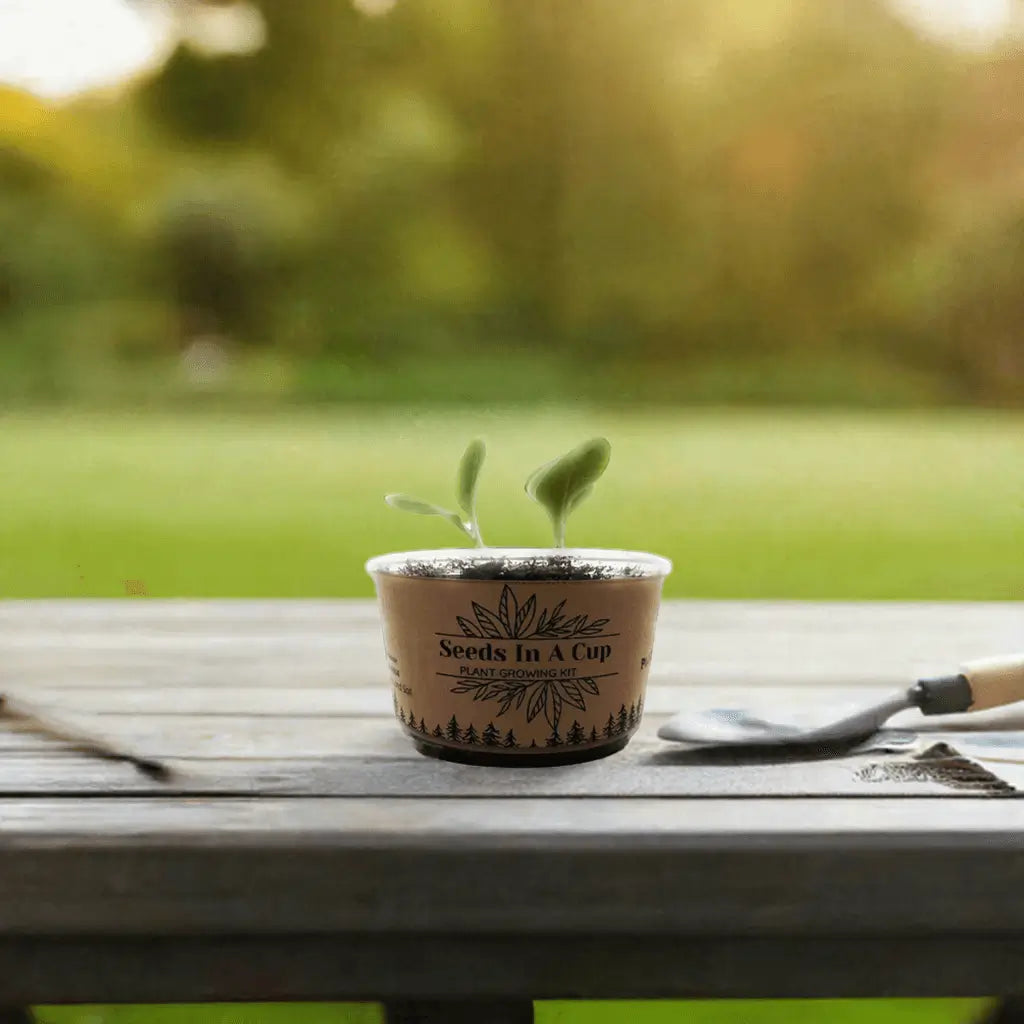 Seeds In A Cup® American Elm Tree Seed Starter Grow Kit