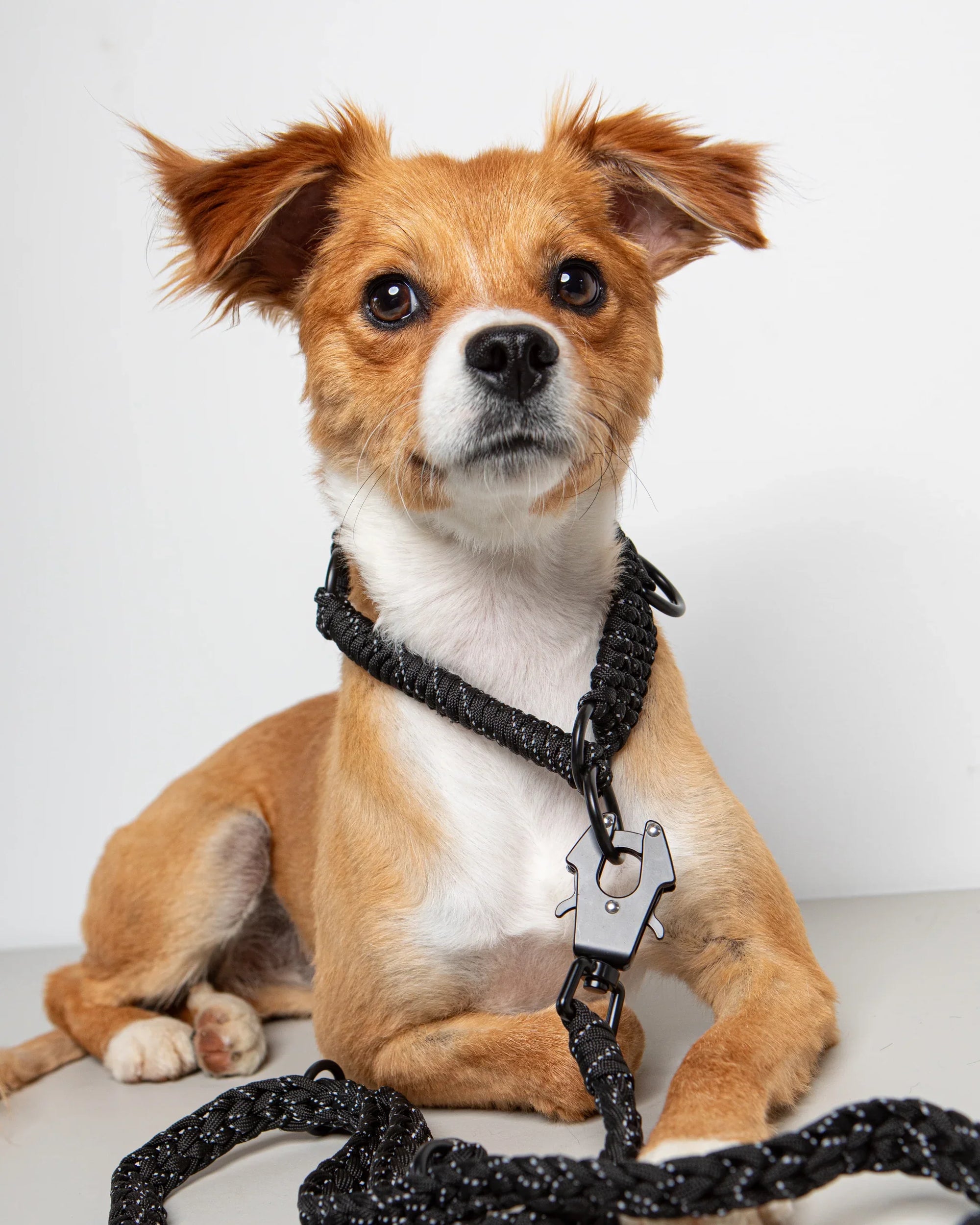 Forever Slip Safe Handmade Dog Collar