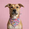 Spring Flower Dog Bandana