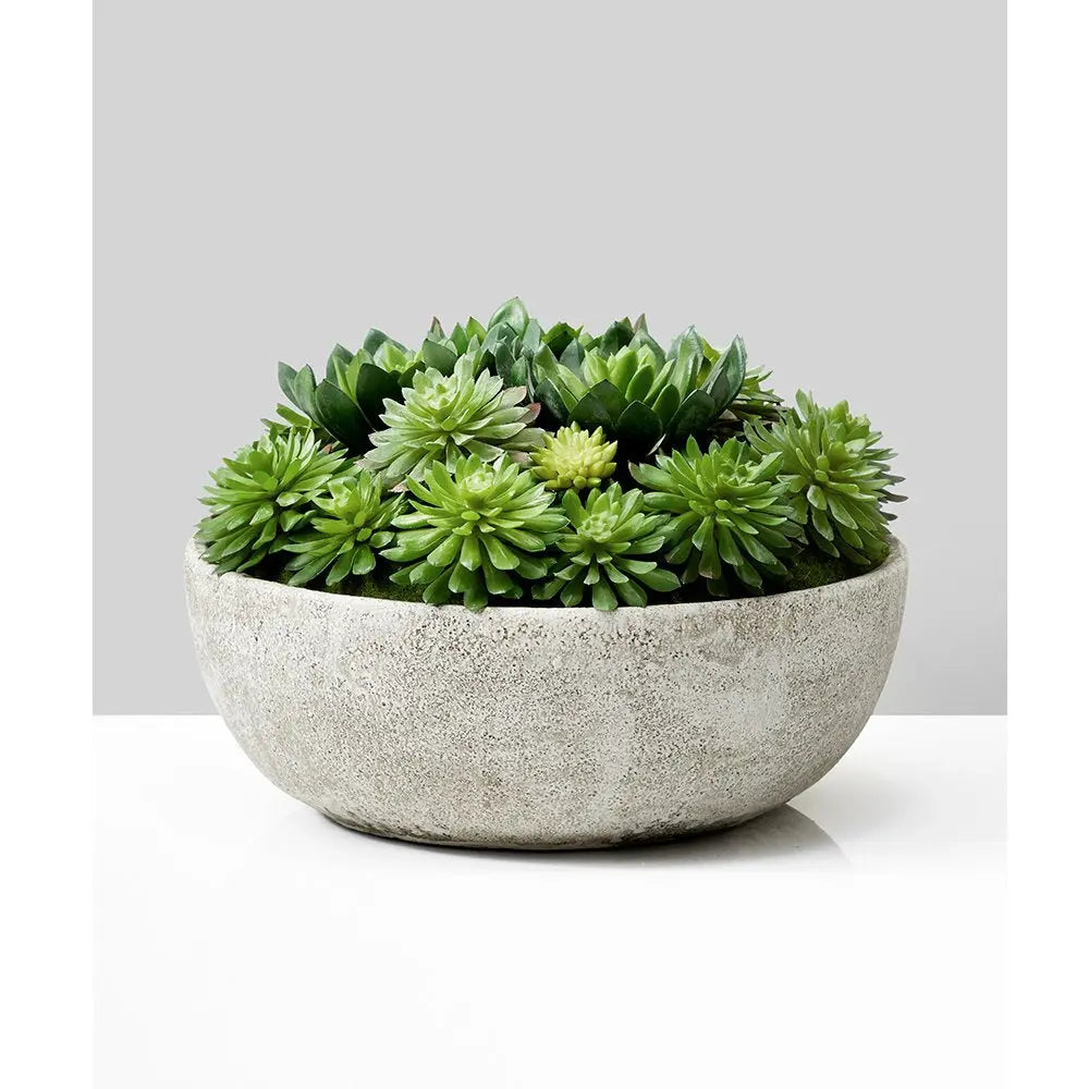 Succulent Mix In Bowl-0
