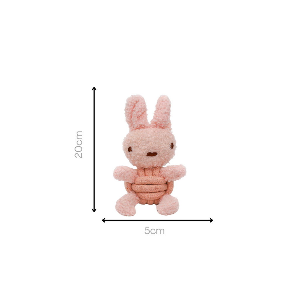 Squeaky Rope Buddies-7