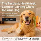 Dog chewing on a treat with text about the product's benefits and a 'Shop Now' button.