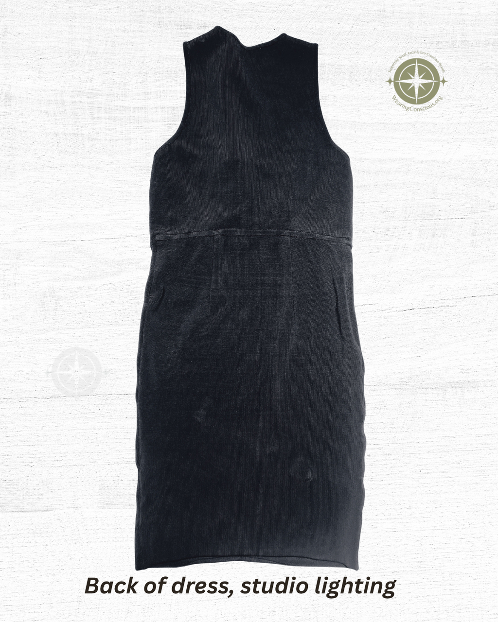 Back of Alexander Wang bodycon dress