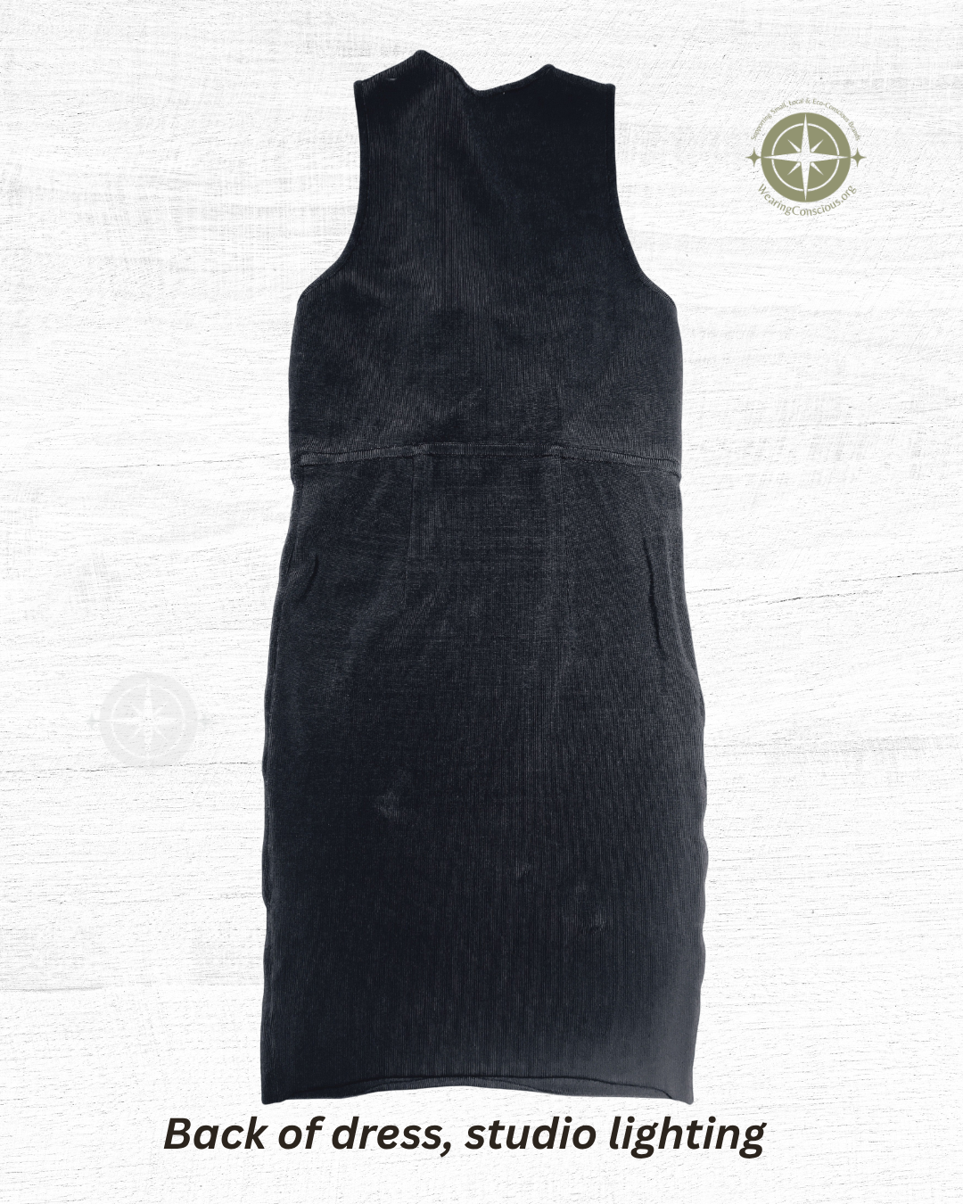Back of Alexander Wang bodycon dress