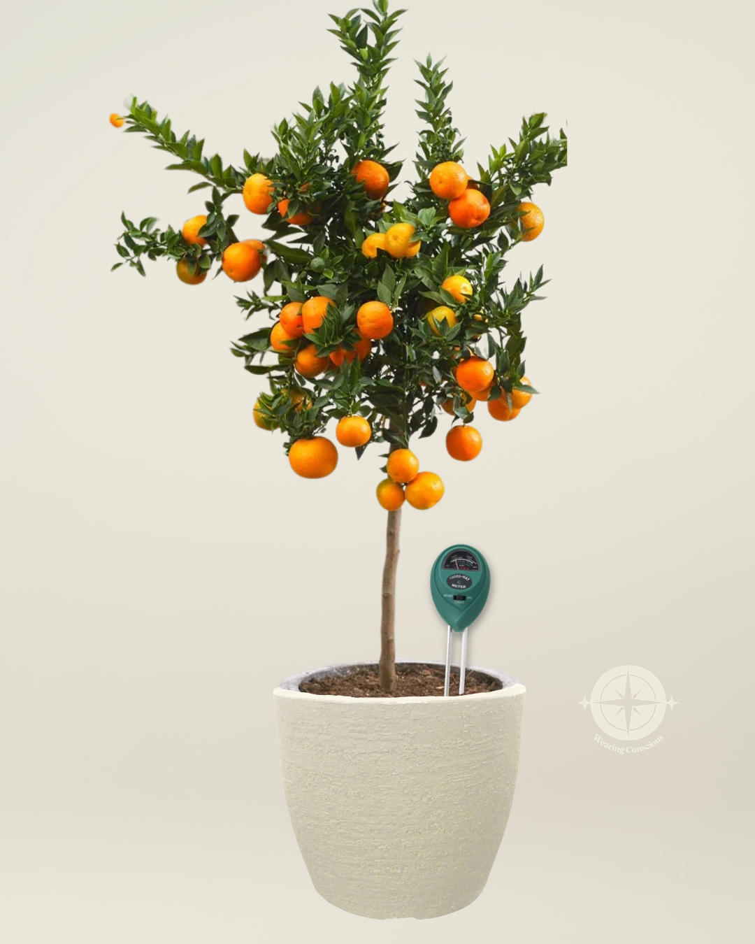 The COMPLETE 3-IN-1 pH, Moisture + Lighting Soil Meter