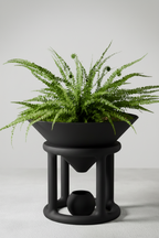 A green fern plant displayed in a matte black sculptural planter on a matching black pedestal stand against a light gray background.