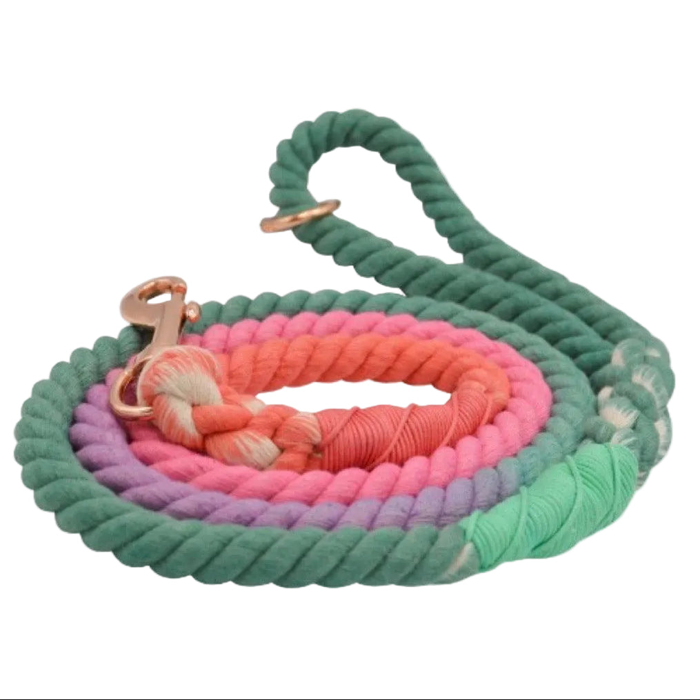ROPE LEASH - UNICORN-0