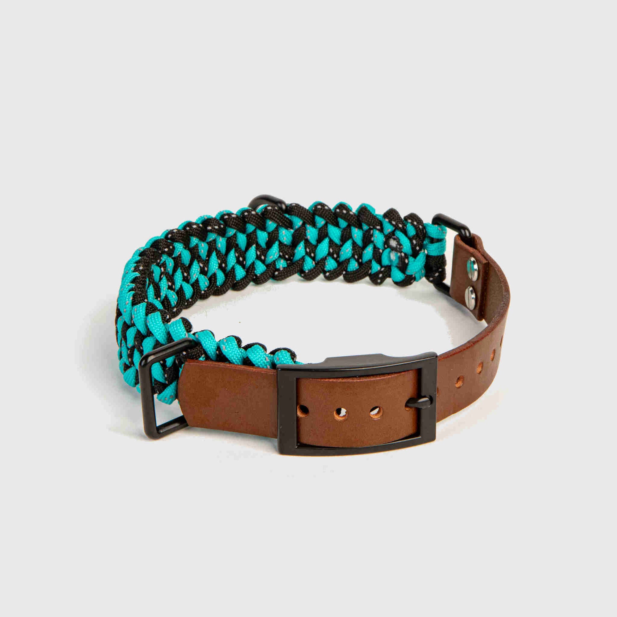 Forever Dog Collar