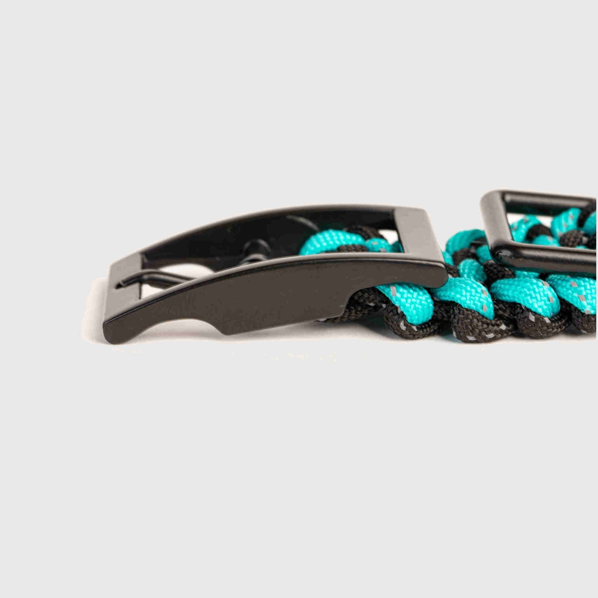 Forever Dog Collar