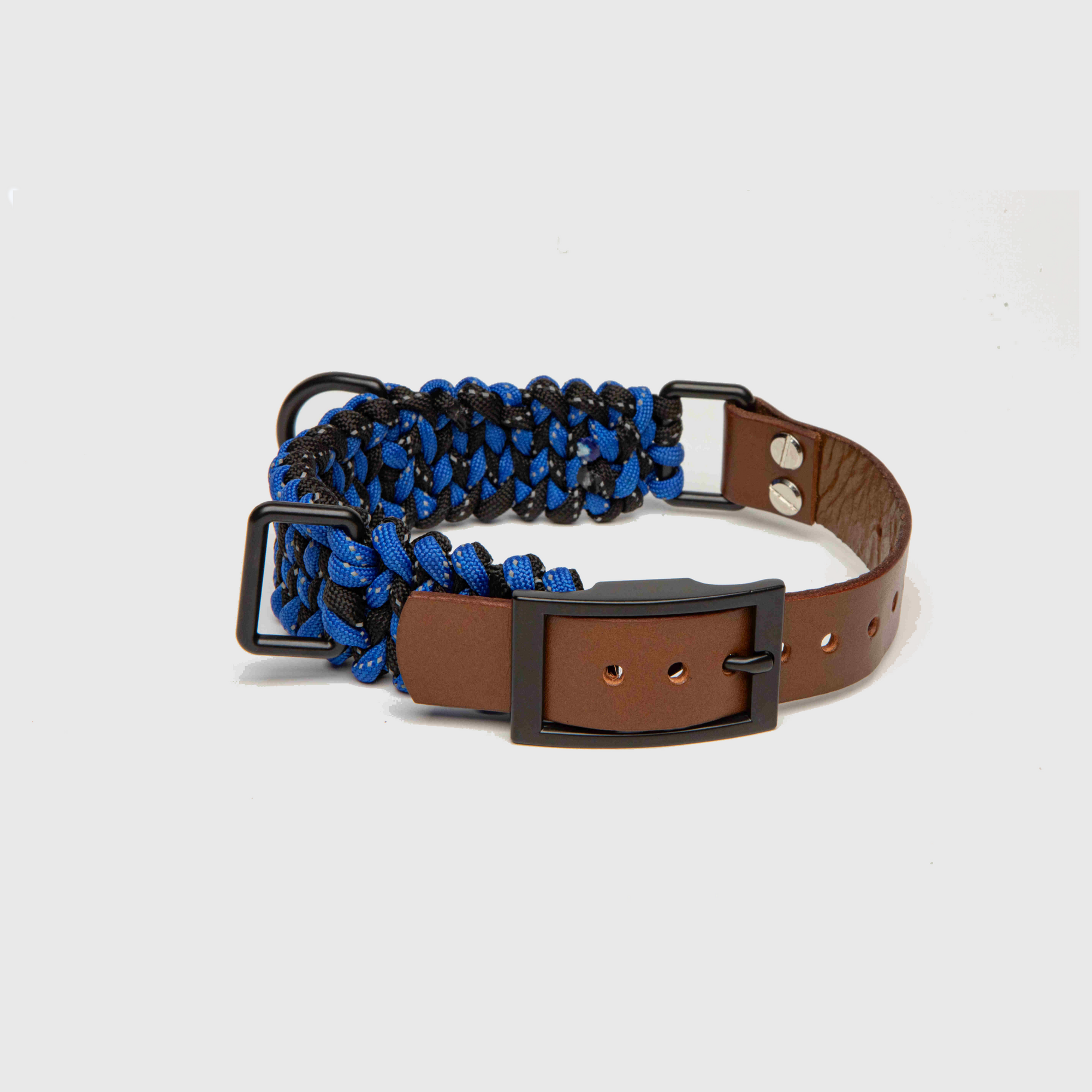 Forever Dog Collar
