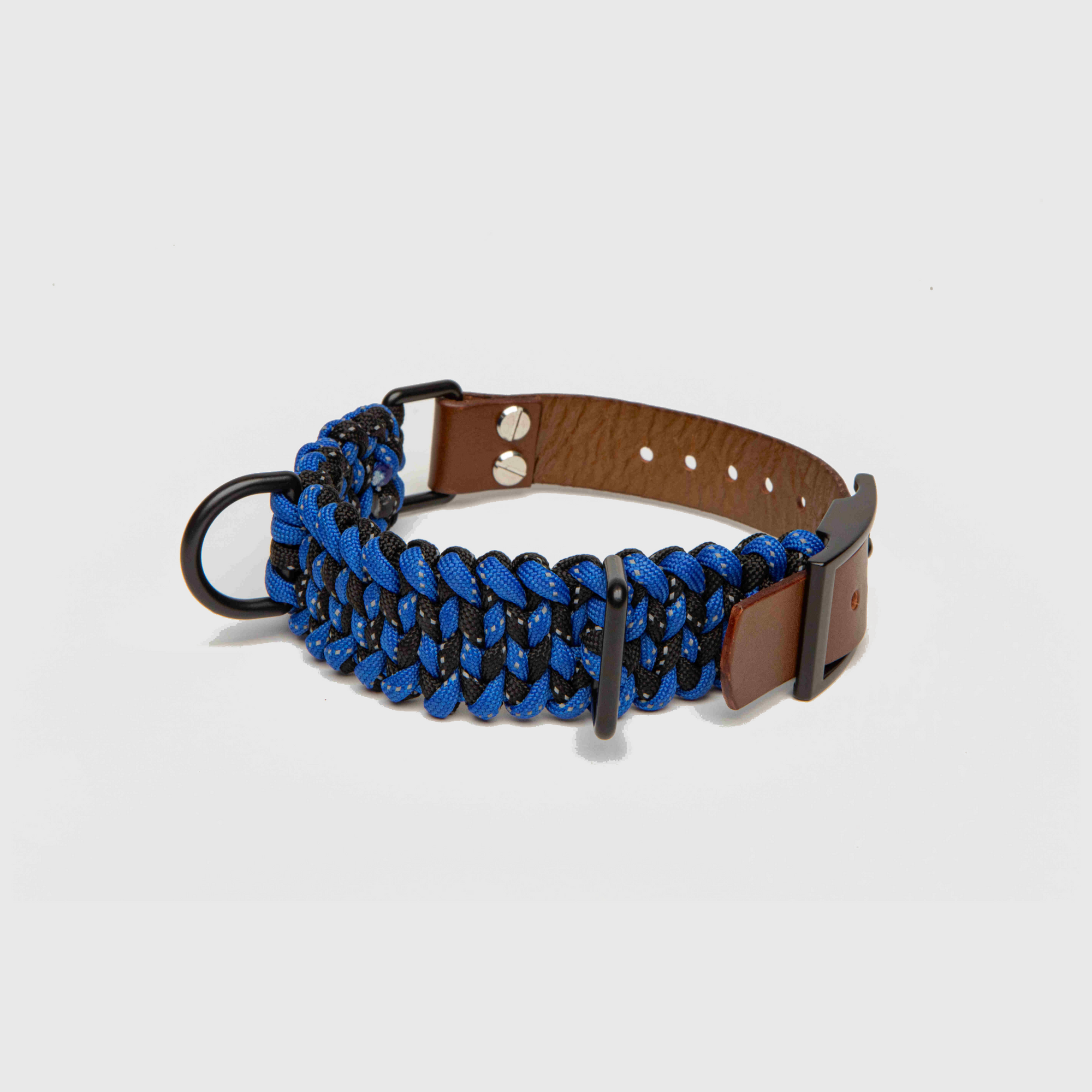 Forever Dog Collar