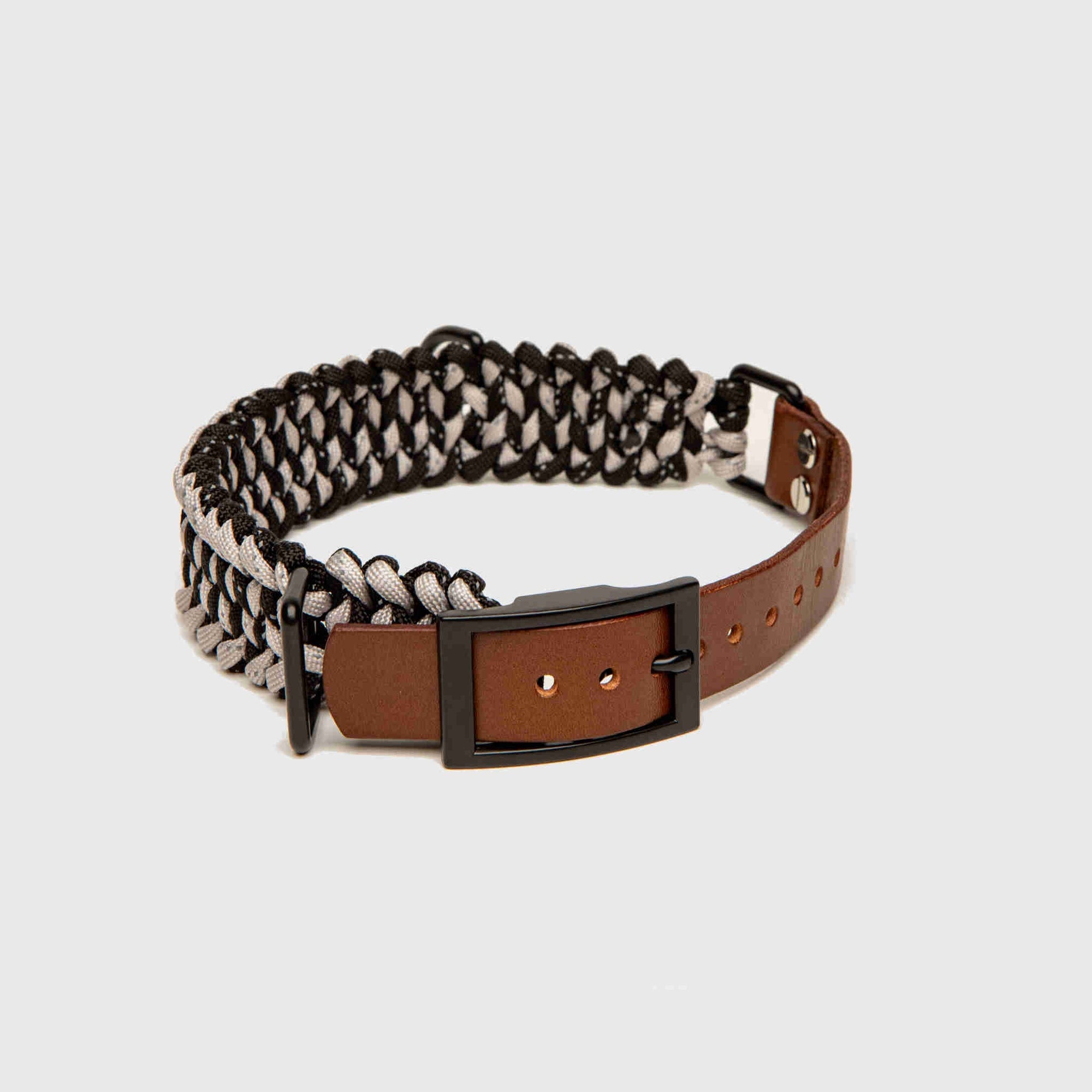 Forever Dog Collar