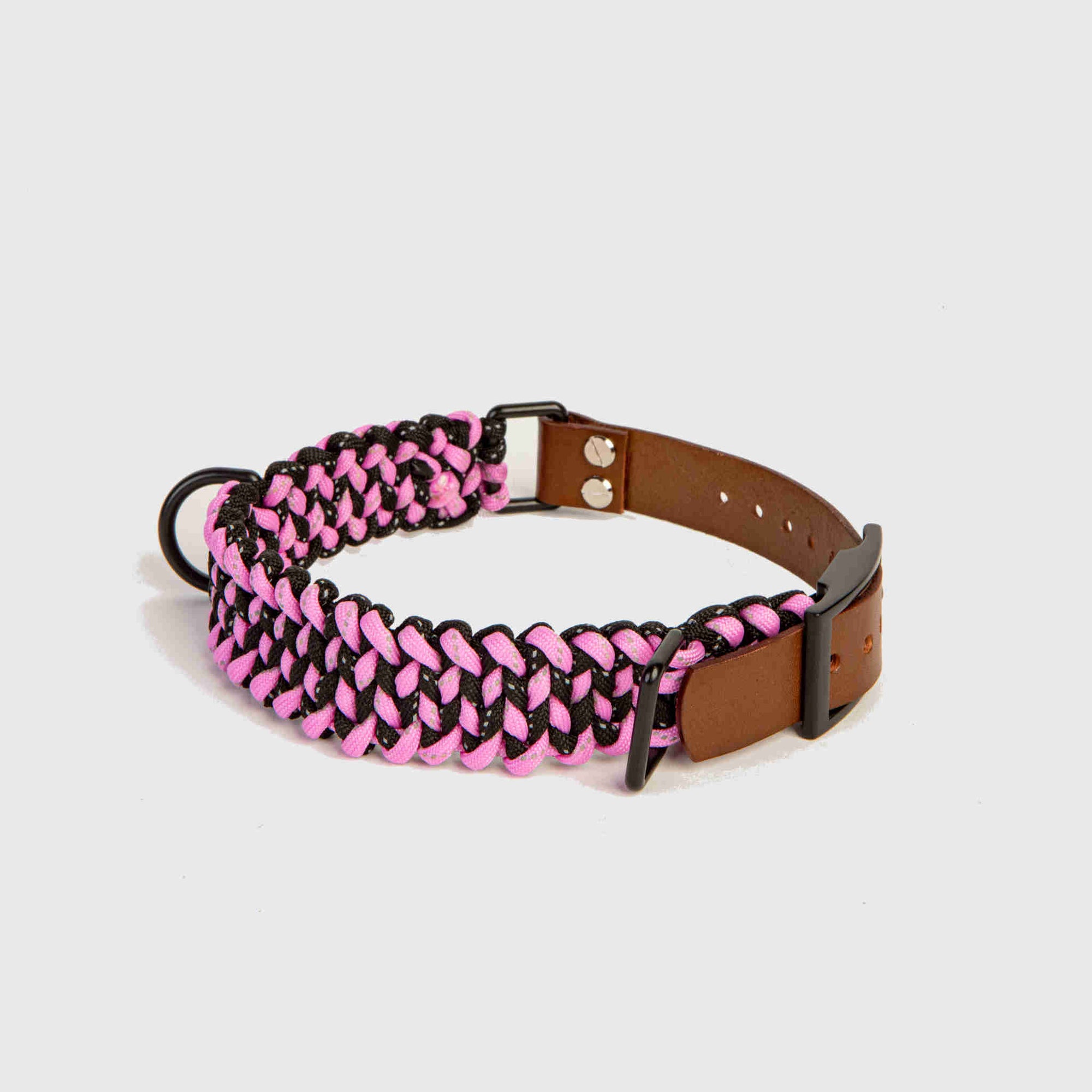 Forever Dog Collar